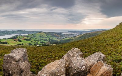 (RE)DISCOVER DUNEDIN-ŌTEPOTI (part 2)